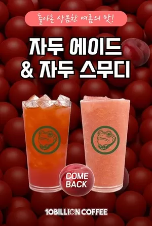 백억커피, 점주·고객 요청에 ‘자두 음료 2종’ 재출시 “여름 공략”